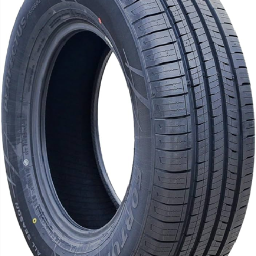 FORTUNE  195/60R15 PERFECTUS FSR602 540AA 88H