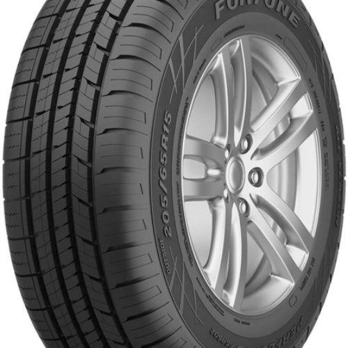 FORTUNE 205/50R17 ERFECTUS FSR602 91V XL BSW